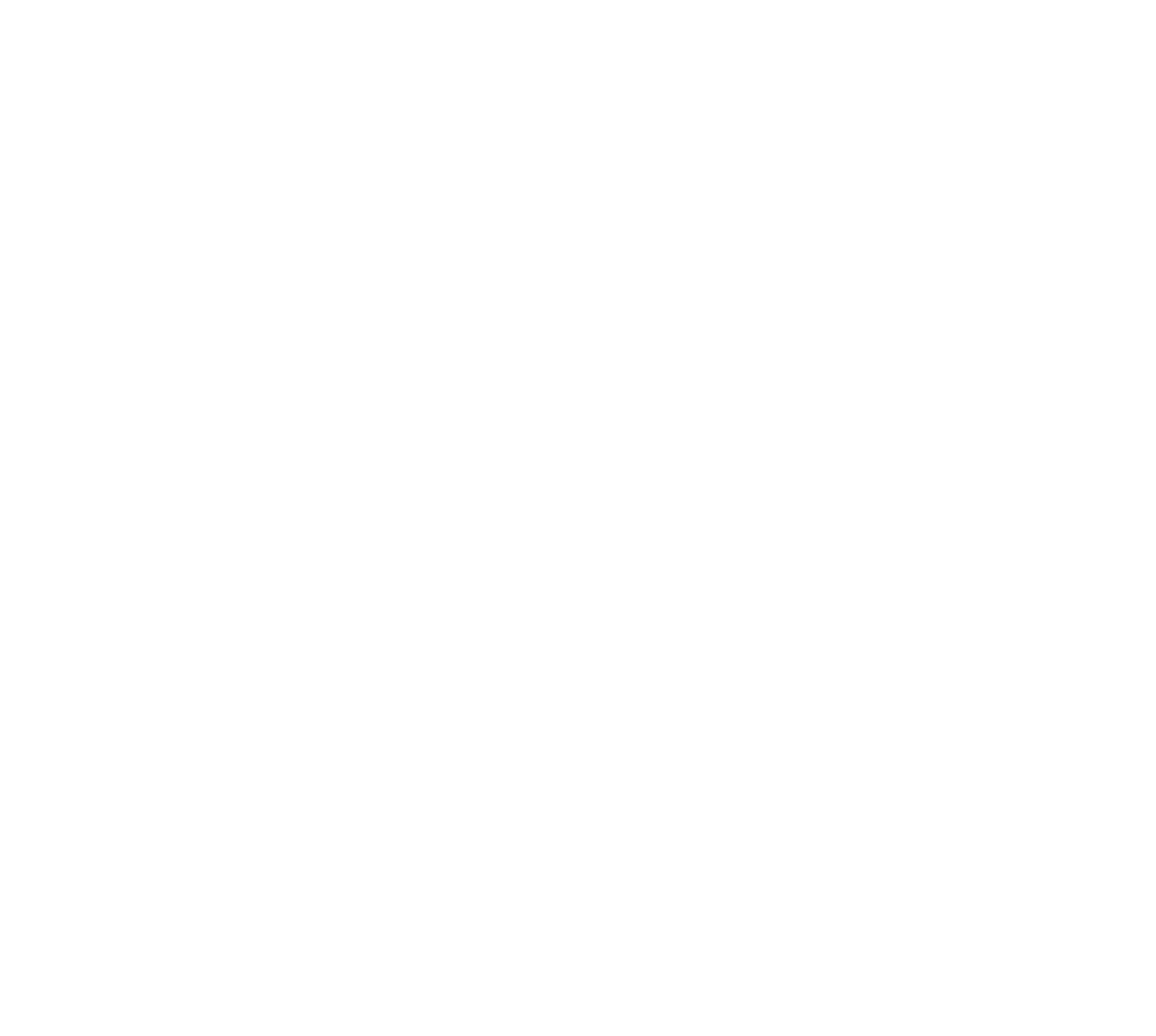 logo Dott. Loris Sinigoi, phd nutrizionista Pergine Valsugana TN